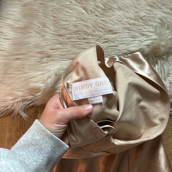 BIRDY GREY Kira Dress In Shiny Satin Neutral Champagne - Picture 9 of 9